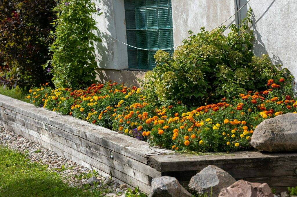 beautiful rustic flower bed