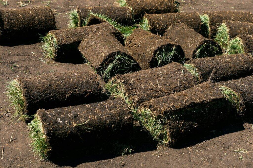 Rolls of lawn grass on sunny day - country house and landscape design